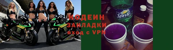 прущие грибы Балахна