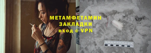 прущие грибы Балахна