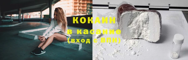 прущие грибы Балахна