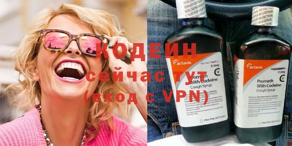 прущие грибы Балахна