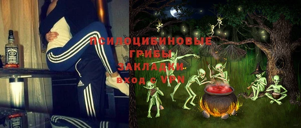 прущие грибы Балахна