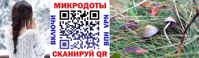 Псилоцибиновые грибы MAGIC MUSHROOMS  где купить наркотик  Белинский 